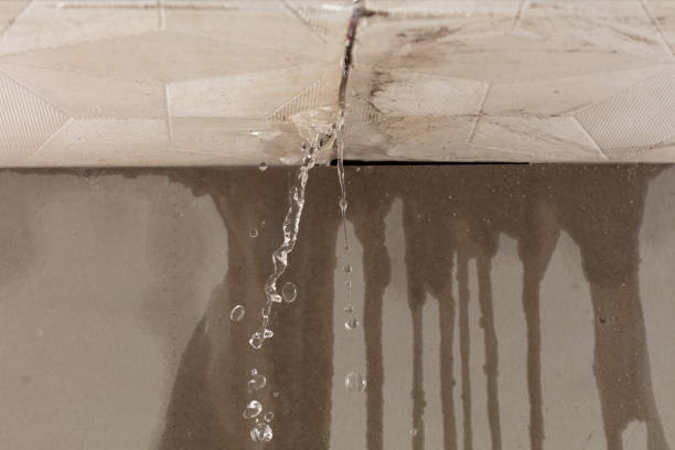 Professional Structural Drying technician working in Glyndon, MN